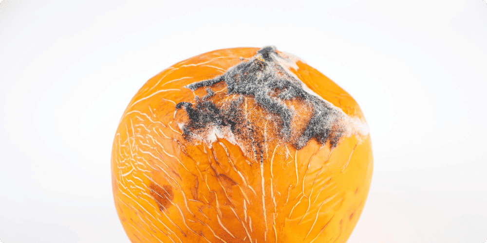 Quels fruits ne pas stocker au réfrigérateur ?